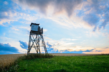 Ansitz im Sonnenuntergang