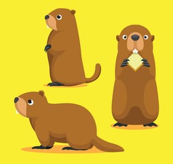 Cute Marmot Cartoon Vector Illustration