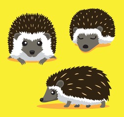 Cute Hedgehog Cartoon Vector Illustration