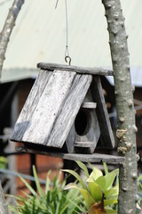 Birdhouse on a tree