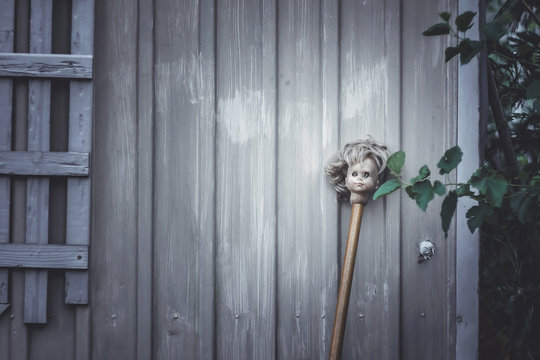 Doll Head 