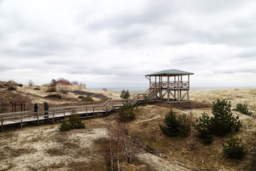 Wooden observation deck with a beautiful view of the dunes of the Curonian spit. Nida in Lithuania and Kaliningrad region in Russia
