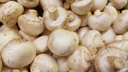 White mushrooms in close up