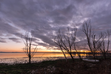 Moody lake shore at sunset, with sun light reflecting on water, and skeletal trees