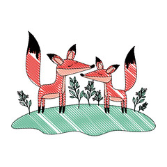wild foxes couple in the jungle vector illustration design