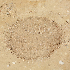 Round anthill in desert