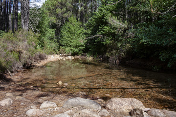 Parco Naturale Regionale della Corsica