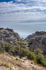 Fototapeta na wymiar Parco Naturale Regionale della Corsica