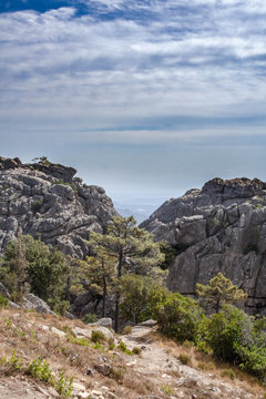 Parco Naturale Regionale della Corsica
