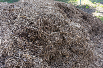 pile of wood shavings in garden