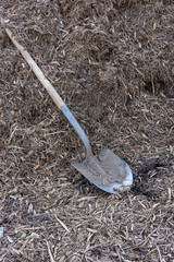 Shovel in garden on earth