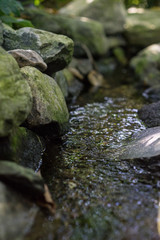small creek with water and big rocks