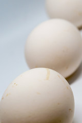 Three eggs isolated over a white background.