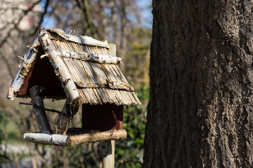 wooden birdhouse in front of tree trunk in winter fall season