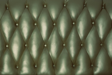 The green surface of the leather back of the vintage couch.