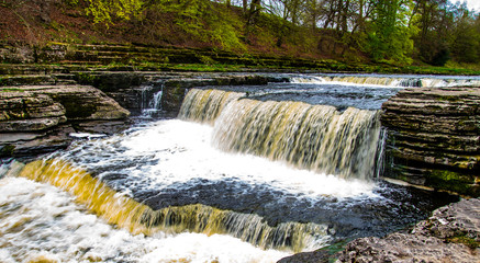 Fototapeta premium Waterfall