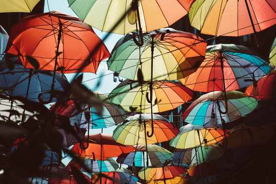 colour umbrella street