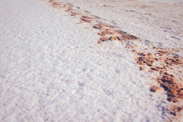 coast of salt, with a rocky red stripe, on the dead sea in Israel.