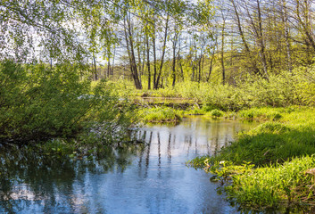 Fototapeta na wymiar Pekhorka river in the reserve 