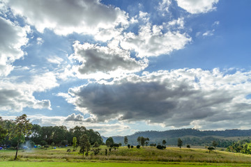 Beautiful landscape of Thung Salaeng Luang National Park, Savanna in National Park of Thailand