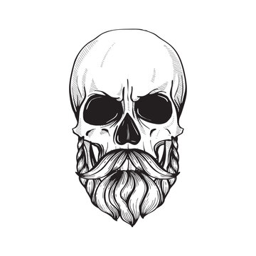 Skull with hairstyle