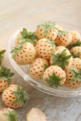 fresh pine-berry fruit
