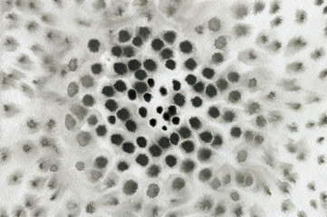 Black and white ink background with radial pattern