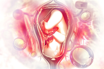 Human fetus on scientific background