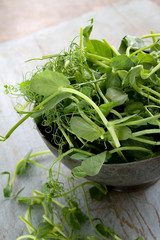 preparing fresh pea shoots
