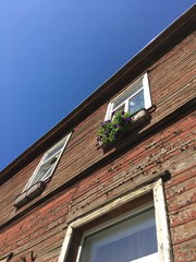 Windows, looking to the sky