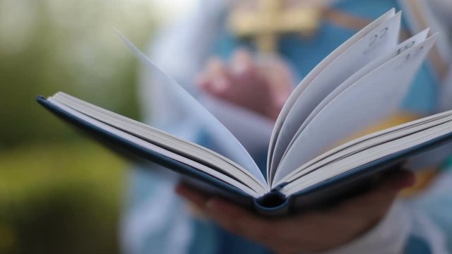Leafing through the book and closes