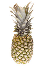 Fototapeta premium Pineapple on white background in studio isolated. Exotic summer refreshment