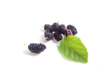 Heap of black mulberry fruit with leaf isolated on white.