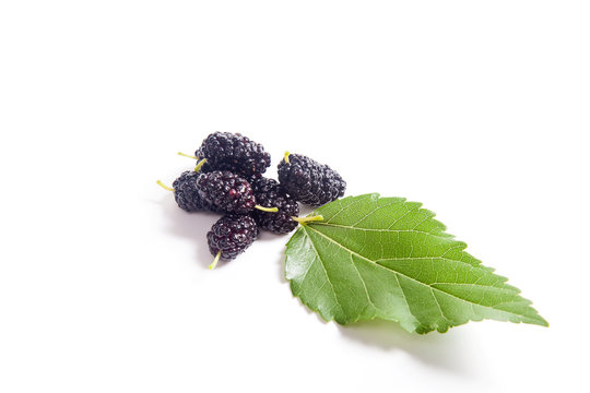 Heap of black mulberry fruit with leaf isolated on white.