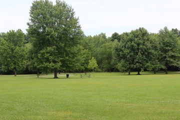 The bright green grass landscape of the park.