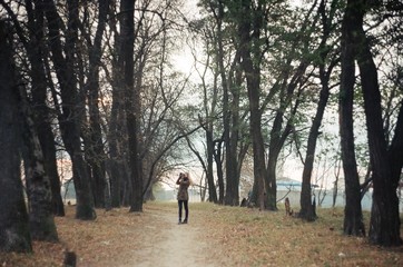 Fototapeta premium tiny forest