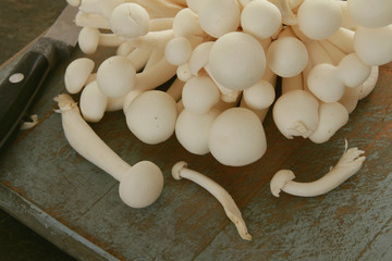 fresh uncooked mushrooms