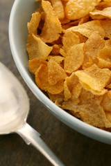 loose breakfast cereal in bowl