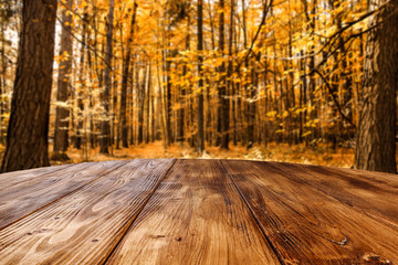 Naklejka na ściany i meble Table background and autumn forest 