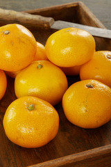 clementine orange fruit