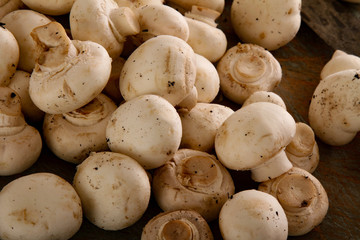 fresh uncooked mushrooms