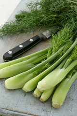 preparing baby fennel