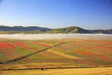 Flying on Castelluccio di Norcia, between ruins and bloom of flowers 