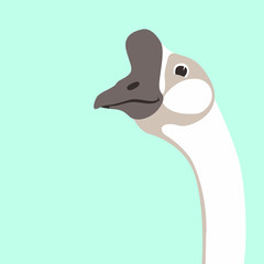  goose head  vector illustration flat style front 