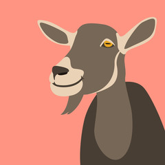 goat  head  vector illustration flat style front