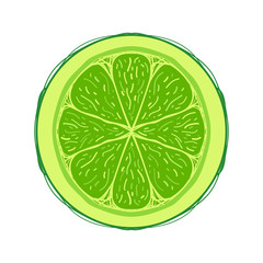 Sliced colored sketch style fruit Lime