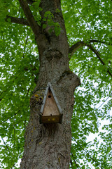 Wooden birdhouse hanging on a tree