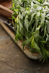 preparing fresh tarragon herb