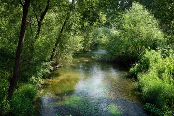 Foto op Plexiglas Kleine rivier © Valery Shanin