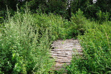 Wooden bridge